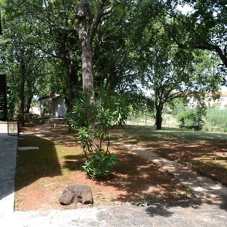 Apartment Silvana